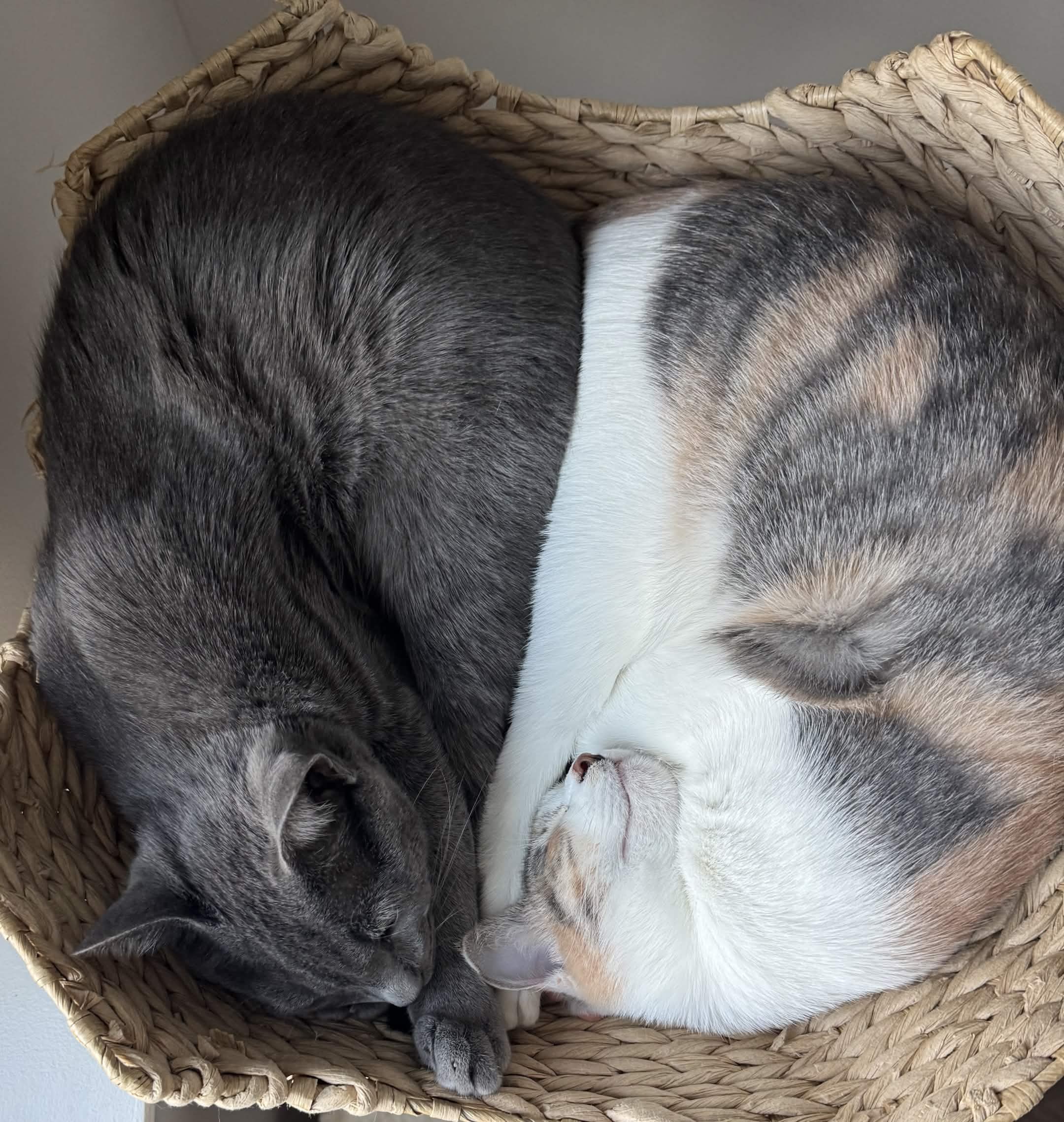 Duko & Emi