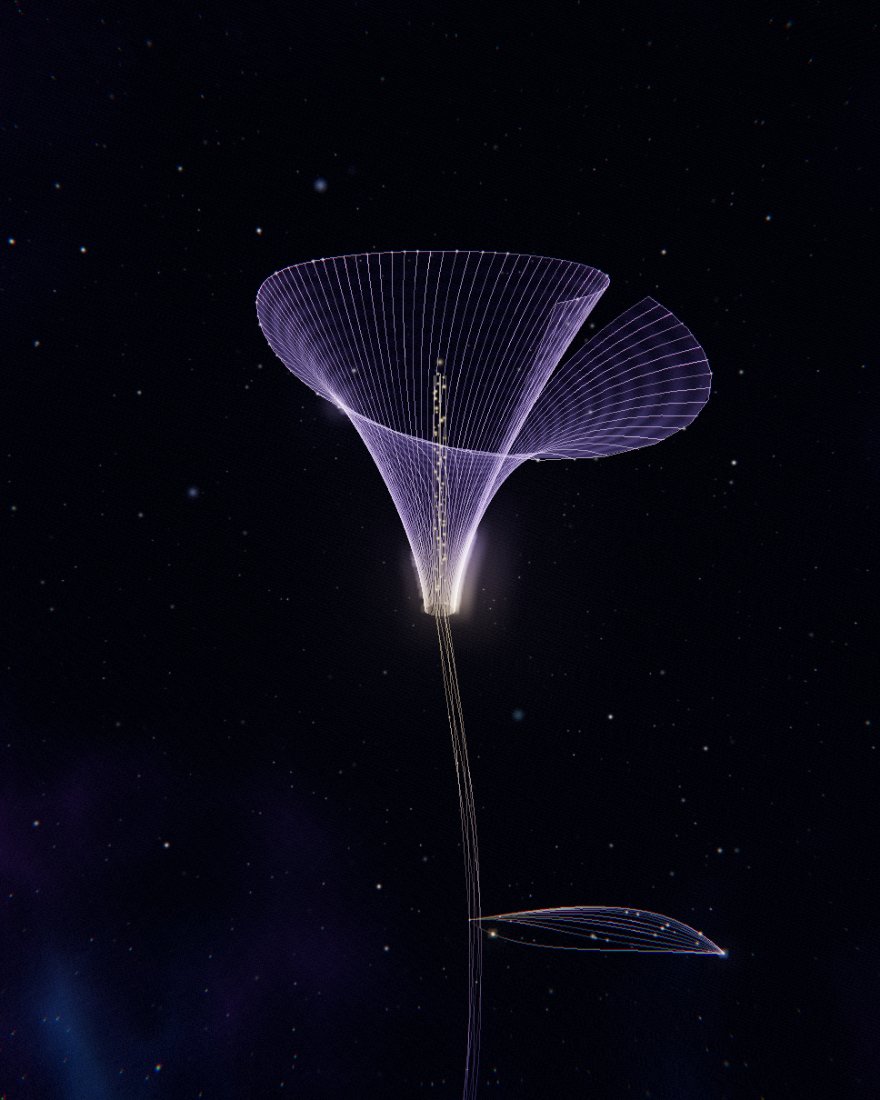 Violet Calla — a flower drawn in fibre-optic light